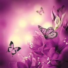 Фотообои на флизелине DECOCODE Фиолетовые бабочки 22-0038-FV (200*200см)