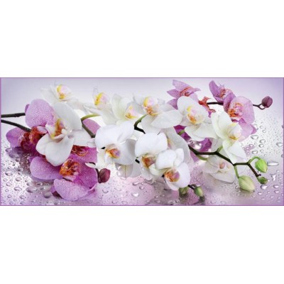 Декоративное панно Орхидея 294х134 (6 листов)