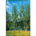 Декоративное панно Русские березы 134х196 (4 листа) — купить в Десногорске: цена за штуку, характеристики, фото