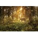 Фотообои Лесной олень DECOCODE 32-0006-PG (300х200см)- купить, цена и фото в интернет-магазине Remont Doma