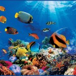Декоративное панно VIP Коралловый риф 294х134 (6 листов)  