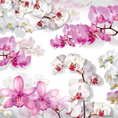 Декоративное панно VIP Бал орхидей 392х260 (16л)