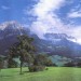 Декоративное панно Альпийский луг 294х201  (9 листов): цены, описания, отзывы в Десногорске