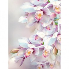 Декоративное панно Нежная орхидея 196х260 (8л)