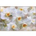 Купить Декоративное панно Белая орхидея 196х134 (4 листа) в Десногорске в Интернет-магазине Remont Doma