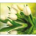 Купить Декоративное панно VIP Белые тюльпаны 294х260 (12 листов)   в Десногорске в Интернет-магазине Remont Doma
