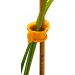 Купить Клипса для подвязки растений PROTEX «ФЛОРА» в Десногорске в Интернет-магазине Remont Doma