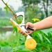 Купить Степлер (Тапенер) инструмент для подвязки растений Урожайная сотка SC-8102 в Десногорске в Интернет-магазине Remont Doma