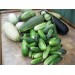 Купить Удобрение Агровита для огурцов  и кабачков 100г в Десногорске в Интернет-магазине Remont Doma