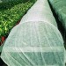 Укрывной материал AGROL СУФ № 60 (3,2*10м) купить недорого в Десногорске