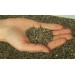 Купить Минеральное удобрение Весеннее (0,9кг)  в Десногорске в Интернет-магазине Remont Doma