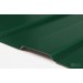 Купить Профнастил С-8 RAL 6005 зеленый мох 0,35х1200х1500 мм в Десногорске в Интернет-магазине Remont Doma
